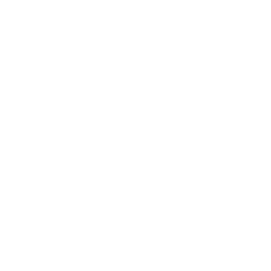 Führerscheinklasse D: Bus