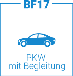 Icon Auto begleitetes Fahren mit 17